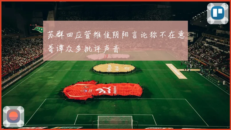 苏群回应管维佳阴阳言论称不在意哥谭众多批评声音