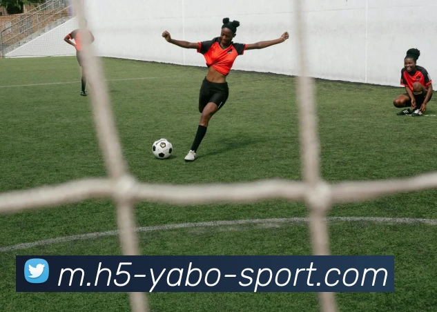 亚博体育服务体系